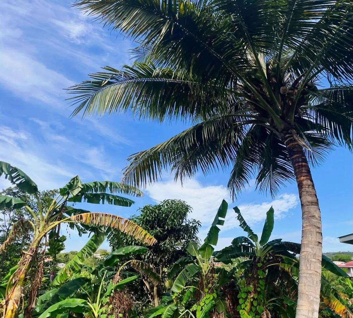 Apartamento Tropical Breeze Grenada Westerhall Land Settlement