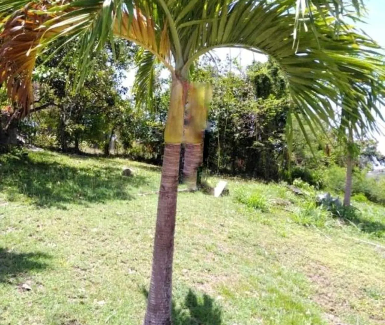 Apartamento Tropical Breeze Grenada Westerhall Land Settlement